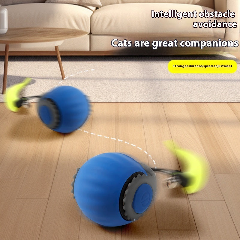 SPEEDY TAIL 2.0